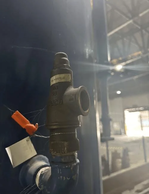 Imagem Ilustrando Vannuchi